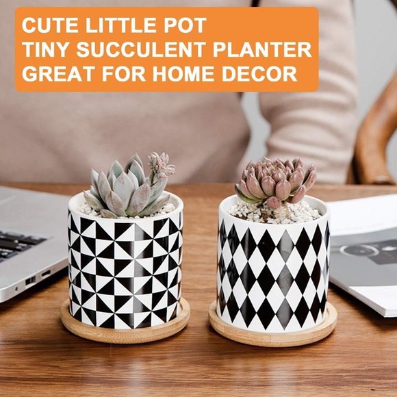 3 Inch Geometric Succulent Planter Pots with Drainage and Bamboo Tray - Picture 10 of 14